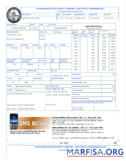 Downloadable PAKISTAN FAISALABAD utility bill Word and PDF template